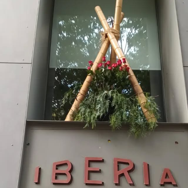 Instal·lació floral de roses sobre estructura de bambú en un aparador — treball real de Flors Senka