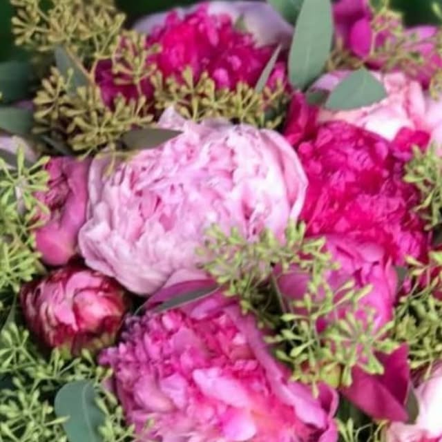 Ram de peònies roses amb eucaliptus — creació real de Flors Senka